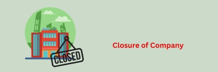 Financial Checklist Before Closing a Private Limited Company in India
