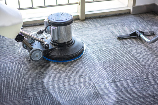 Can Carpet Cleaning Help Alleviate Allergies in Brooklyn Homes?