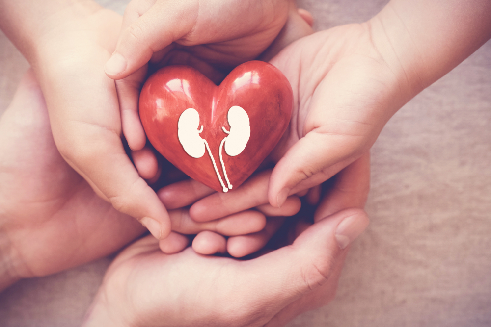 Traveling with Heart Disease & CKD: Tips for Safe and Stress-Free Trips