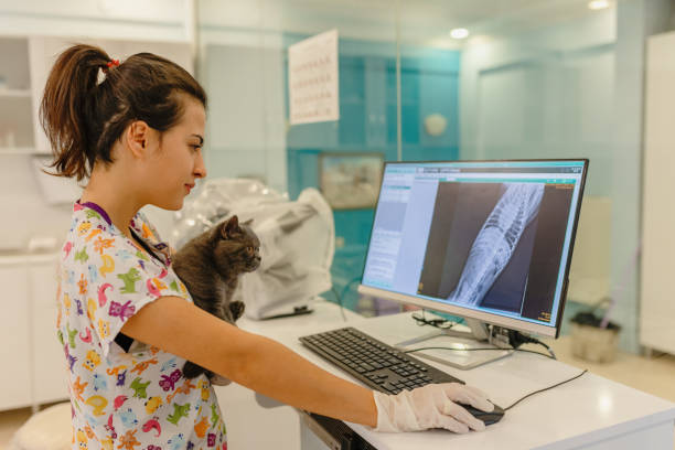 How Is FUJIFILM Corporation Shaping the Future of Veterinary Imaging Market? Emerging Innovations and Strategic Developments