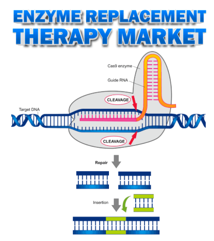 Enzyme Replacement Therapy Market 2025 Growth & Forecast 