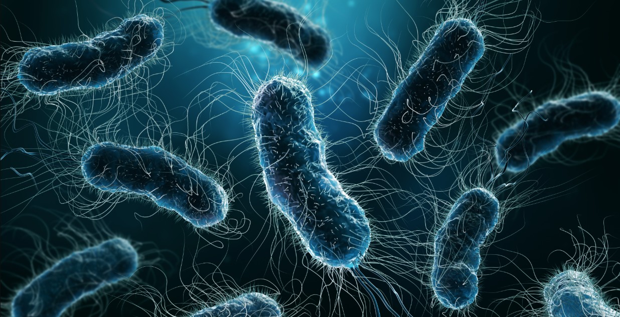 Why is Understanding Legionella Bacteria Important for Public Health?