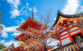 Strategies, Innovations, and Developments by Sompo Japan Insurance Inc. in the Japan Travel Insurance Market