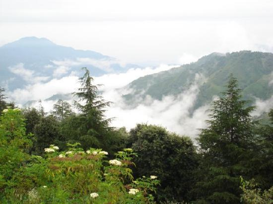 Ekant Retreat: A Luxurious Sanctuary in the Mountains