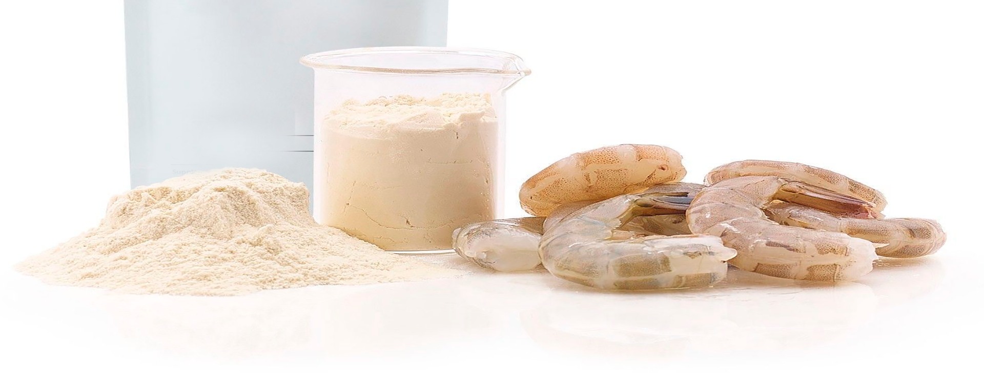 Chitosan Processing Plant Setup Report 2025 | Industry Trends, Investment Opportunities, Cost and Revenue