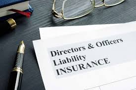 Emerging Innovations and Strategic Developments in the U.S. Directors and Officers (D&O) Insurance Market: A Focus on American International Group, Inc.