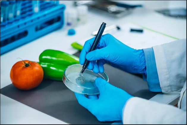 India Food Safety Testing Market Growth, Share & Trends Report 2025-2033