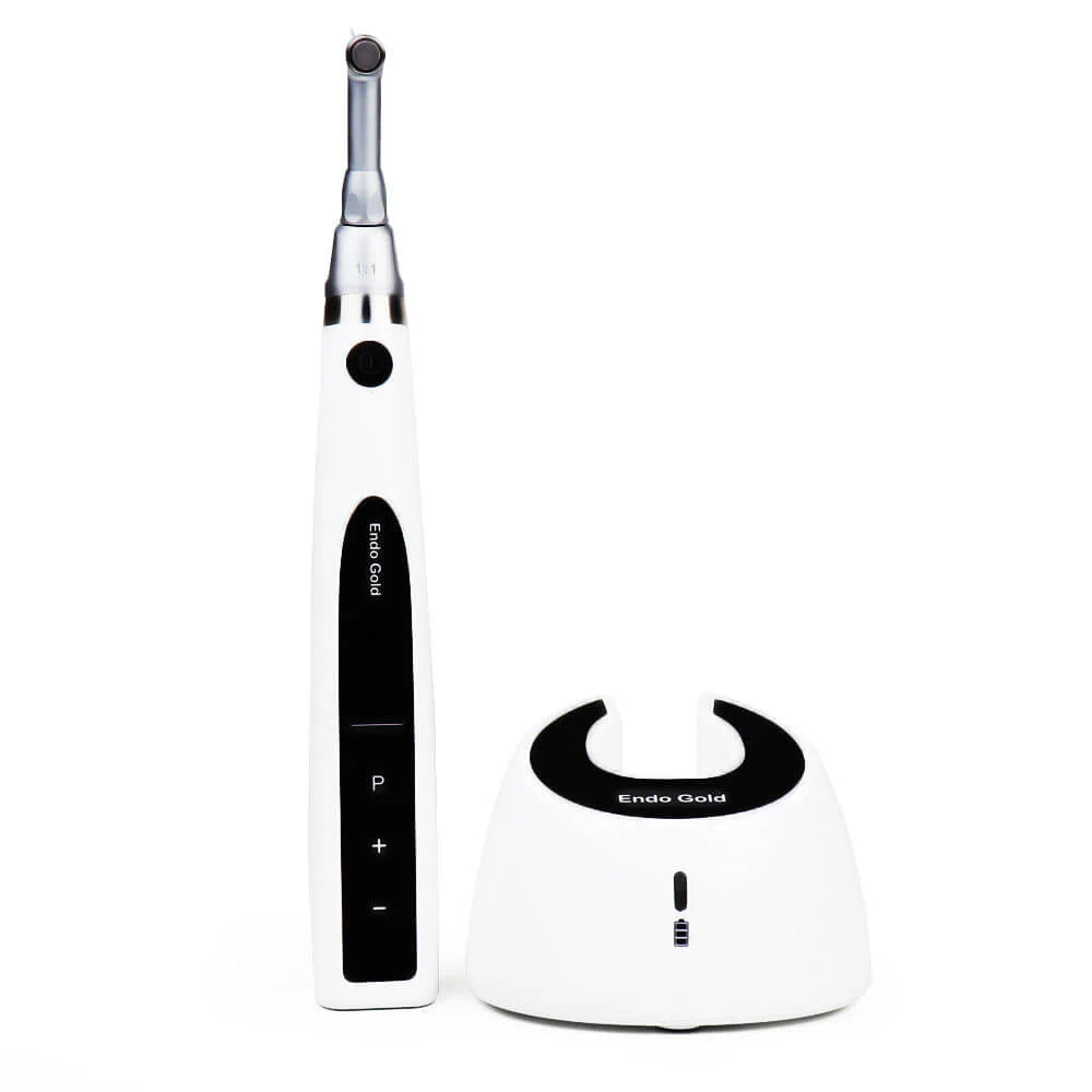 Exploring the World of Modern Endodontics with Woodpecker