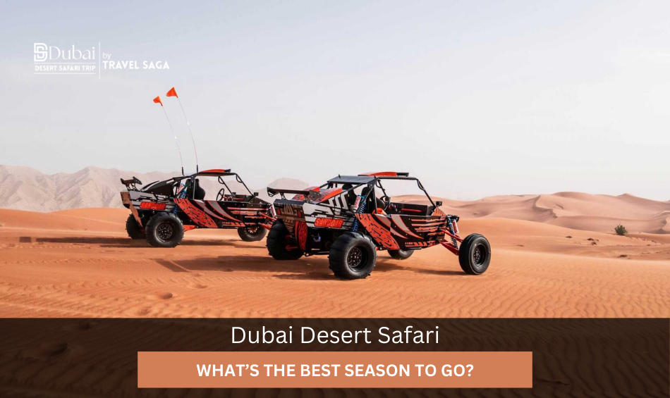 Dubai Desert Safari: What's the Best Season to Go?