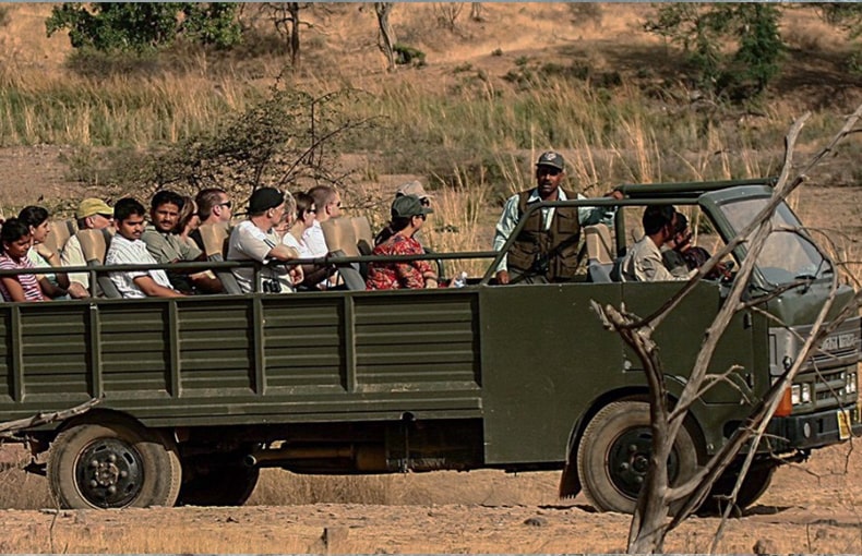 Experience the Thrill of a Canter Safari Jim Corbett with Dee Fellows Riverside Resort