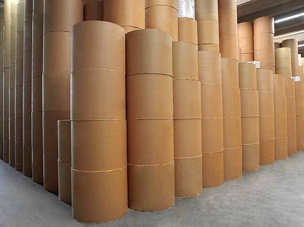Top 5 Strategic Developments by International Paper Company in the Canada Containerboard Market By 2030