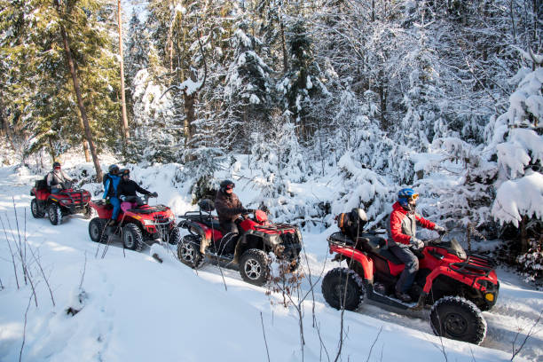 KUBOTA Corporation: Leading Innovation and Strategy in the UTV Market