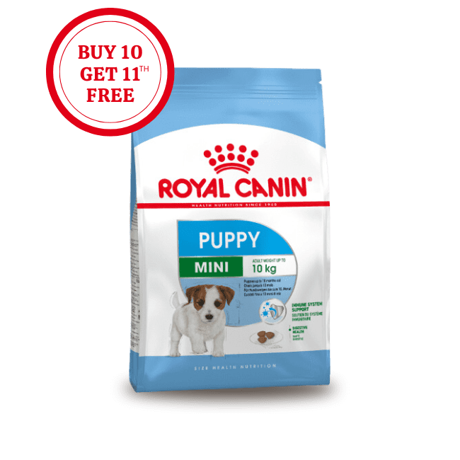 The best and amazing addiction wild islands dog food