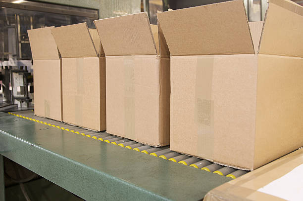 How International Paper Company is Shaping the Sweden Containerboard Market by 2030