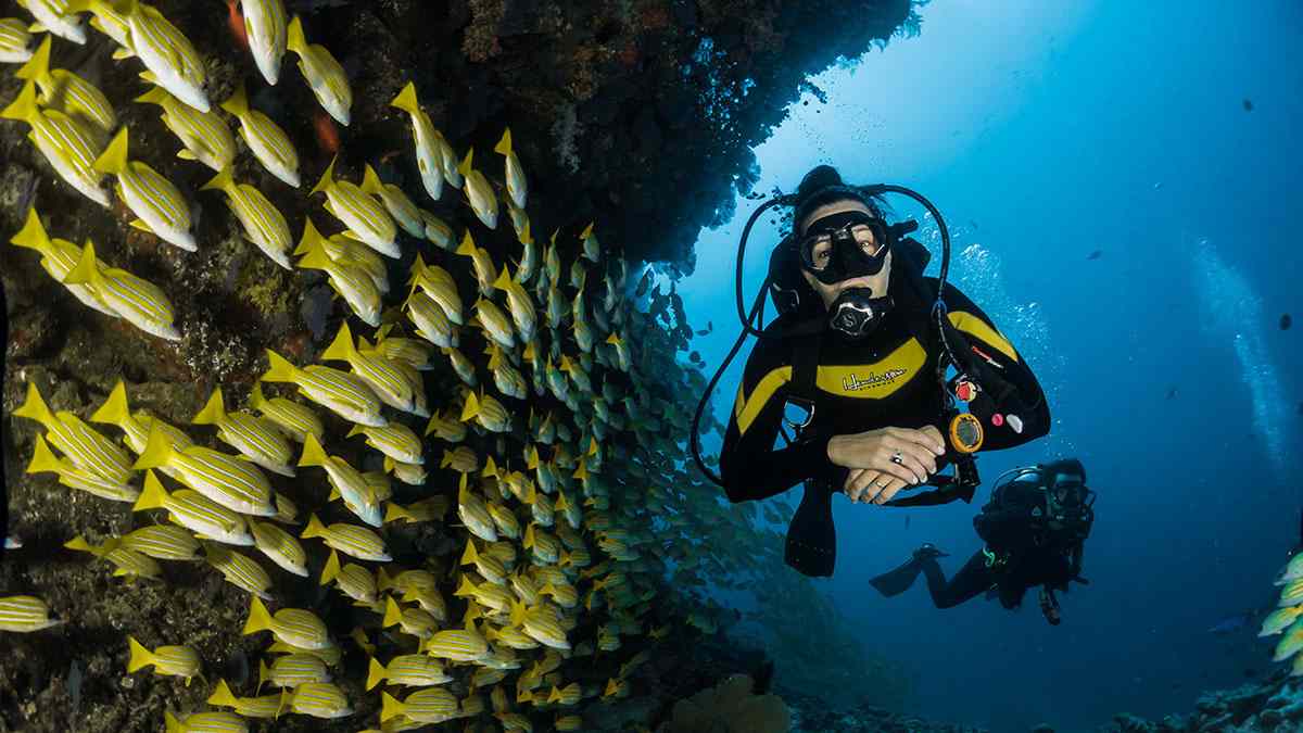 The Thrills of Cave Diving Mallorca: What to Expect