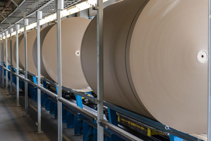 How Sappi Ltd is Shaping the Future of Japan Containerboard Market: Strategies, Innovations, and Developments