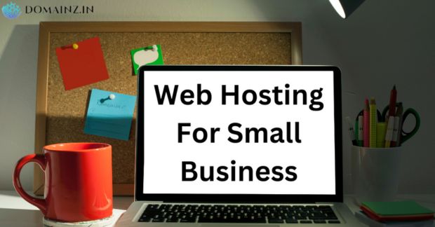 Best Web Hosting For Small Business — Domainz