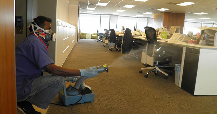 Professional Termite Control in Chandigarh: Protect Your Property Value