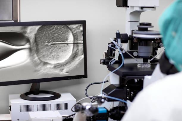 Strategic Innovations and Emerging Trends: Mindray Bio-Medical Electronics Co., Ltd. and Taiwan In-Vitro Diagnostics Market