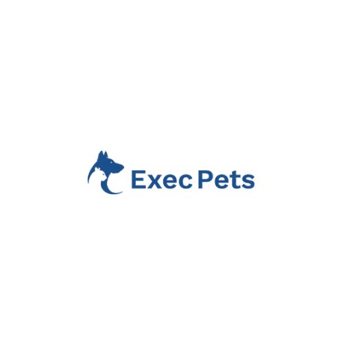 How can I safely arrange road pet transport interstate for my pet?