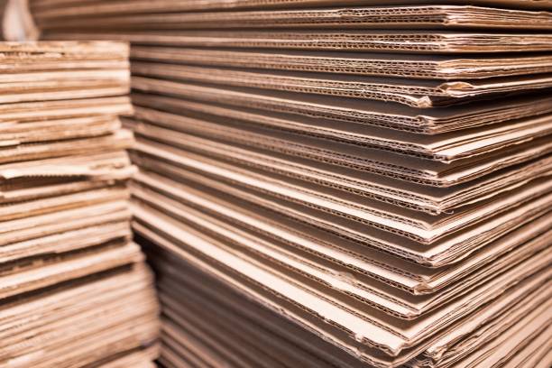 Unipack Pte Ltd: Leading Innovations and Strategies in the Singapore Containerboard Market