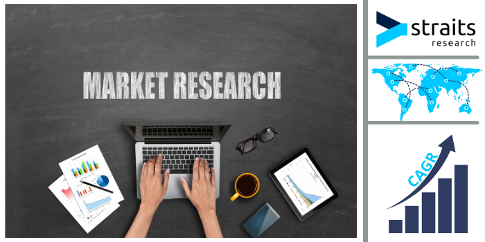 Air Sports Equipment Market Expansion: Key Trends and Strategic Forecasts