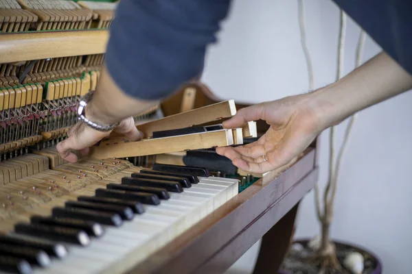Why Your Piano Deserves the Best: Expert Care by TX Pianos