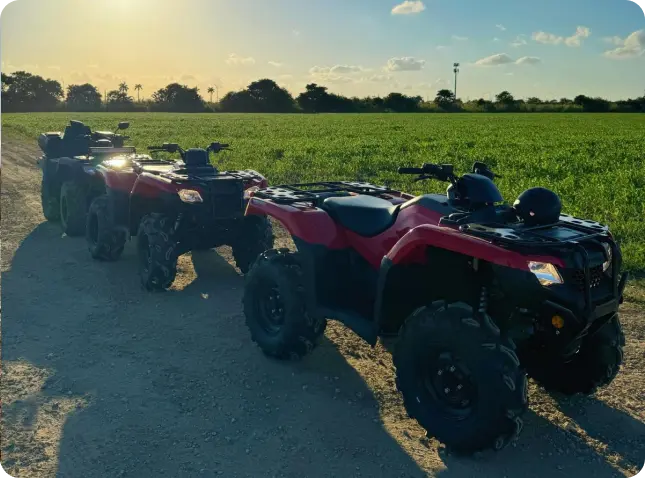 ATV Riding in Miami: A Thrill-Seeker's Paradise