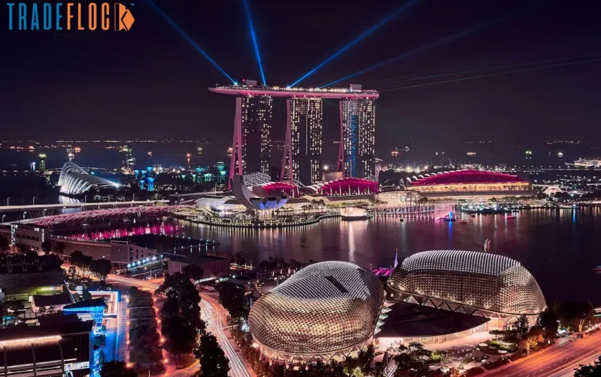 The Rise of Innovation: Exploring the Booming Scene of Tech Startups in Singapore