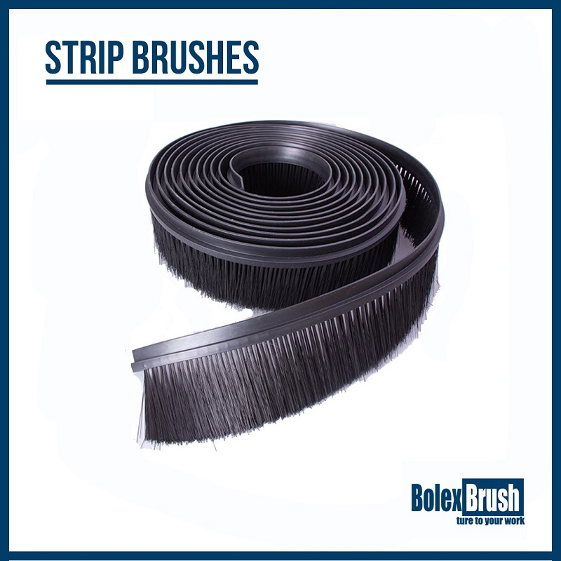 The Best and Amazing Strip Brushes