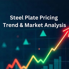 Predicting the Steel Plate Pricing Trend in 2025