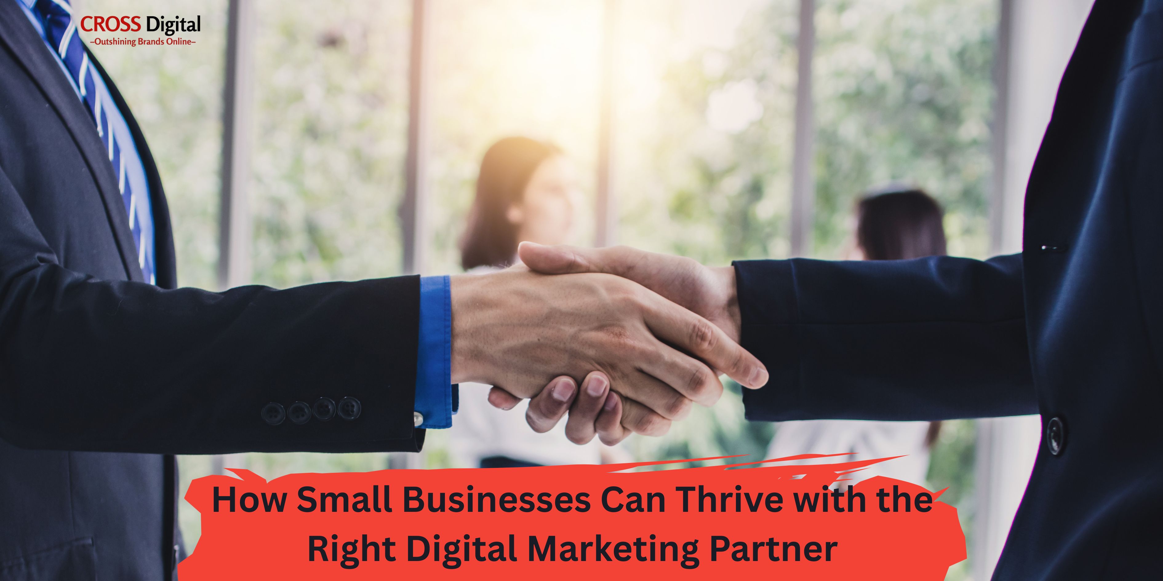 How Small Businesses Can Thrive with the Right Digital Marketing Partner