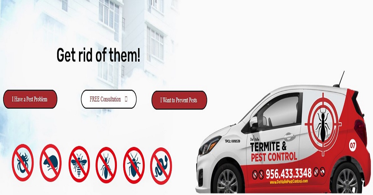 Why Hiring a Professional Snake Exterminator is Essential for Your Safety and Peace of Mind