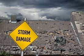 Comprehensive Restoration Services in Alabama: Expert Solutions for Termite, Water, Fire, and Storm damage repairs in Mobile AL