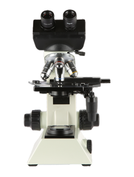 What is a Compound Microscope and How Does It Work?