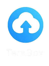Experience Seamless Streaming with TeraBox Video Player Online