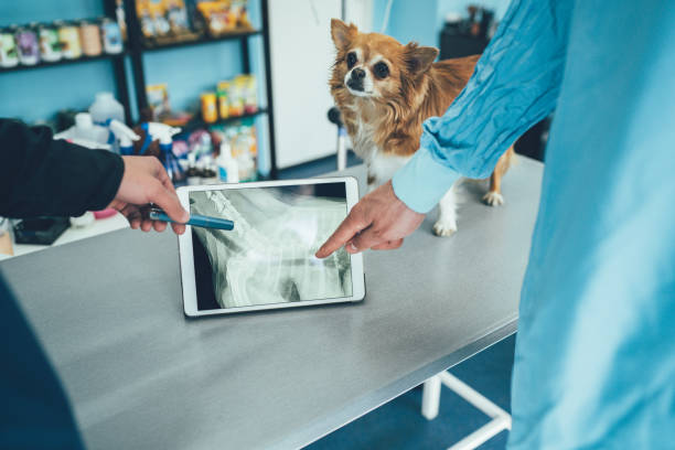 FUJIFILM Corporation's Impact on the Veterinary Imaging Market: Pioneering Innovations and Strategic Advancements