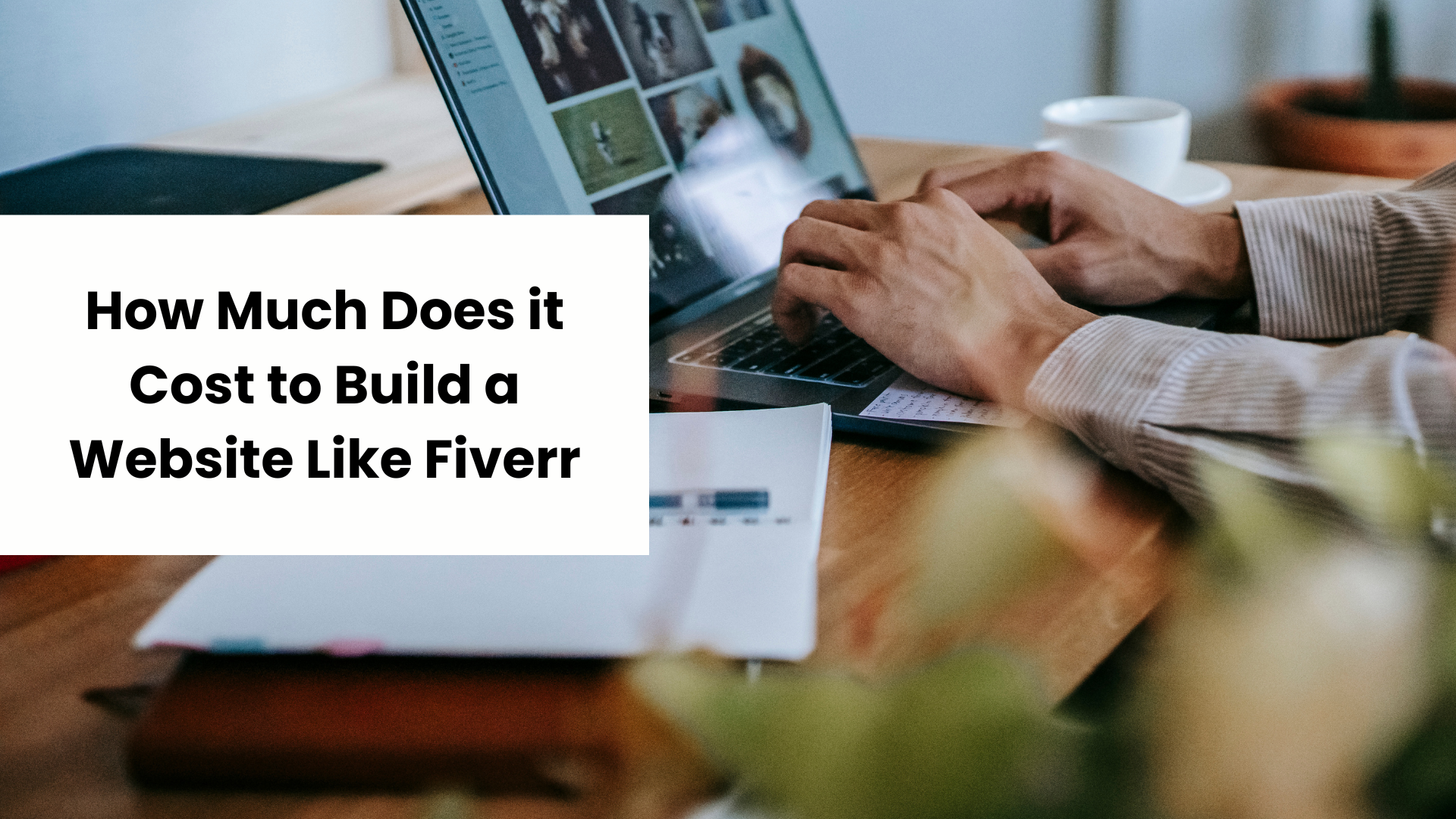 How Much Does it Cost to Build a Website Like Fiverr
