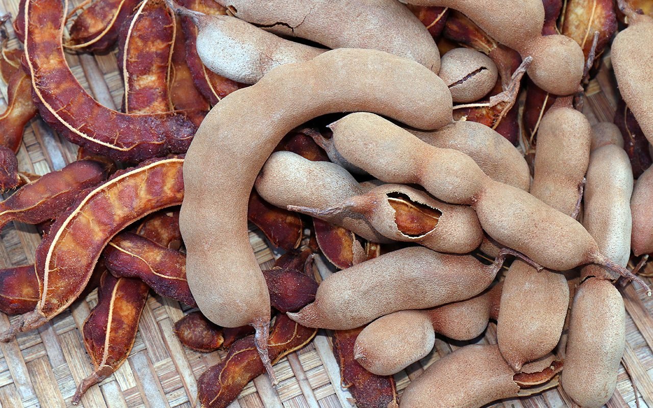 8 Key Factors to Establish a Successful Tamarind Processing Plant: Raw Materials Requirement