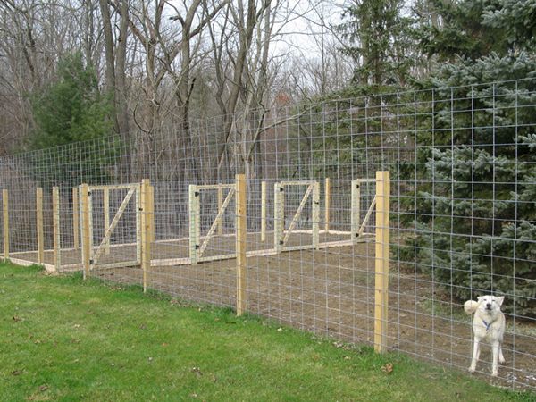 How Dog Fence Installers Keep Large Breeds from Jumping Over?