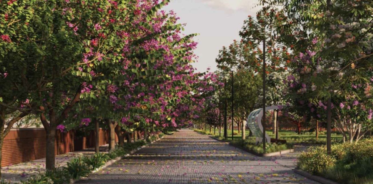 Tangled Up In Green | Premium Plots in Devanahalli, Bangalore