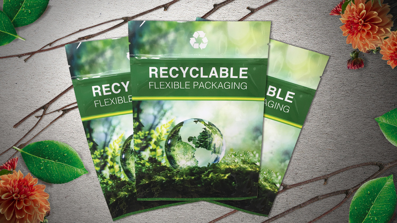 Affordable Flexible Packaging Solutions in Malaysia for SMEs and Startups
