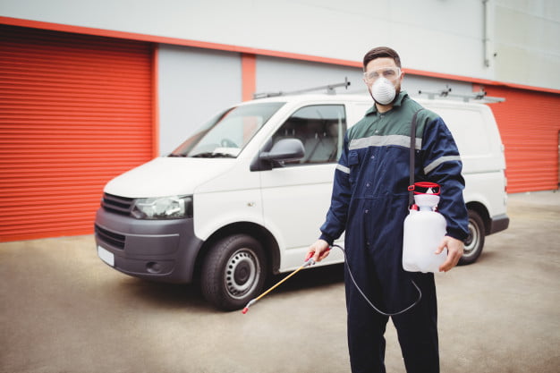 Termite Inspection in Perth: A Vital Step in Protecting Your Home from Destruction
