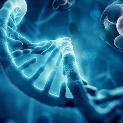Regenerative Medicine in Muscat: Advancing Atherosclerosis Treatment