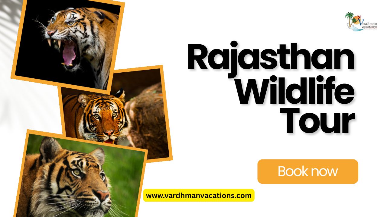 Exploring the Majesty of Nature: Rajasthan Wildlife Tour