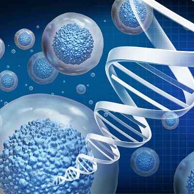 Stem Cells for Autoimmune Disease Treatment in Oman: A Revolutionary Approach