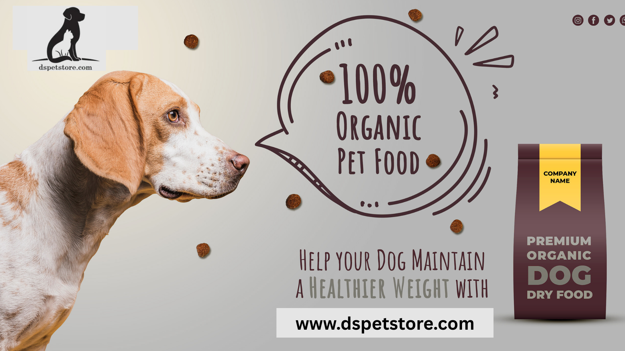 How to Find the Best Dog Food: A Complete Guide for Pet Parents
