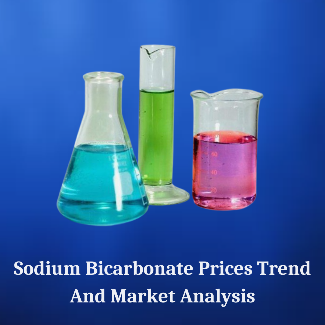 Sodium Bicarbonate Market Dynamics: A Look at Pricing Trends and Forecast