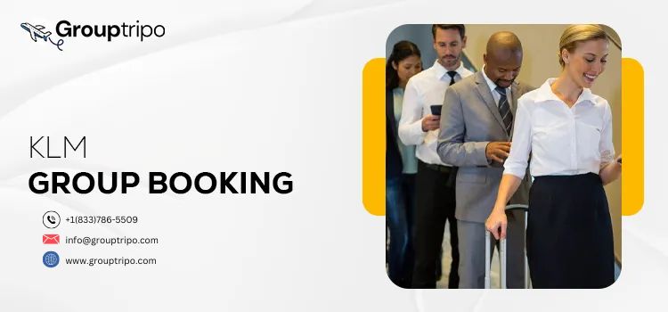 How Do I Check the Status of My KLM Group Booking