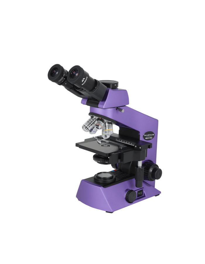 Top Reasons Why Compound Microscopes Are Ideal for Students